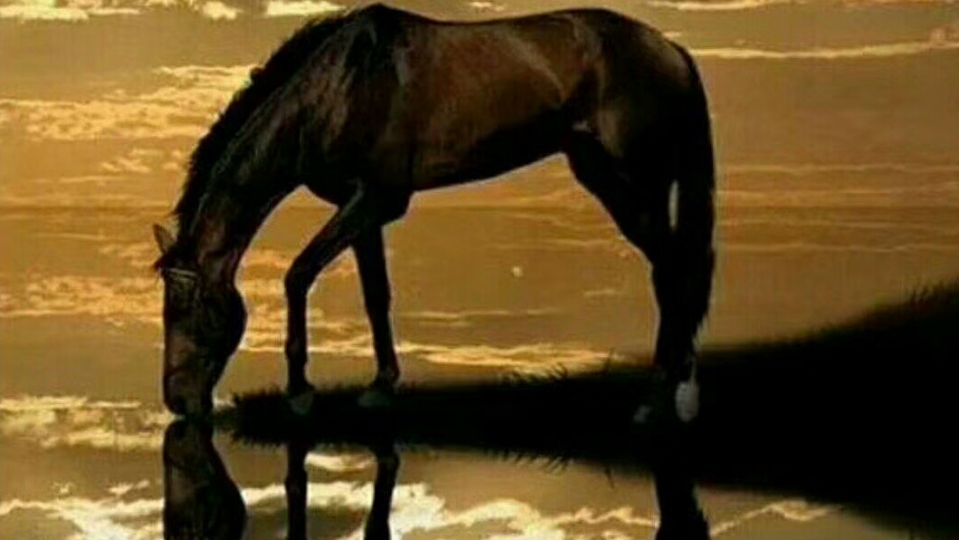 Әшім Дөңшіұлының күйі "Кеңес"