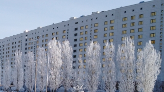 Халық әні "Топшеңгел"